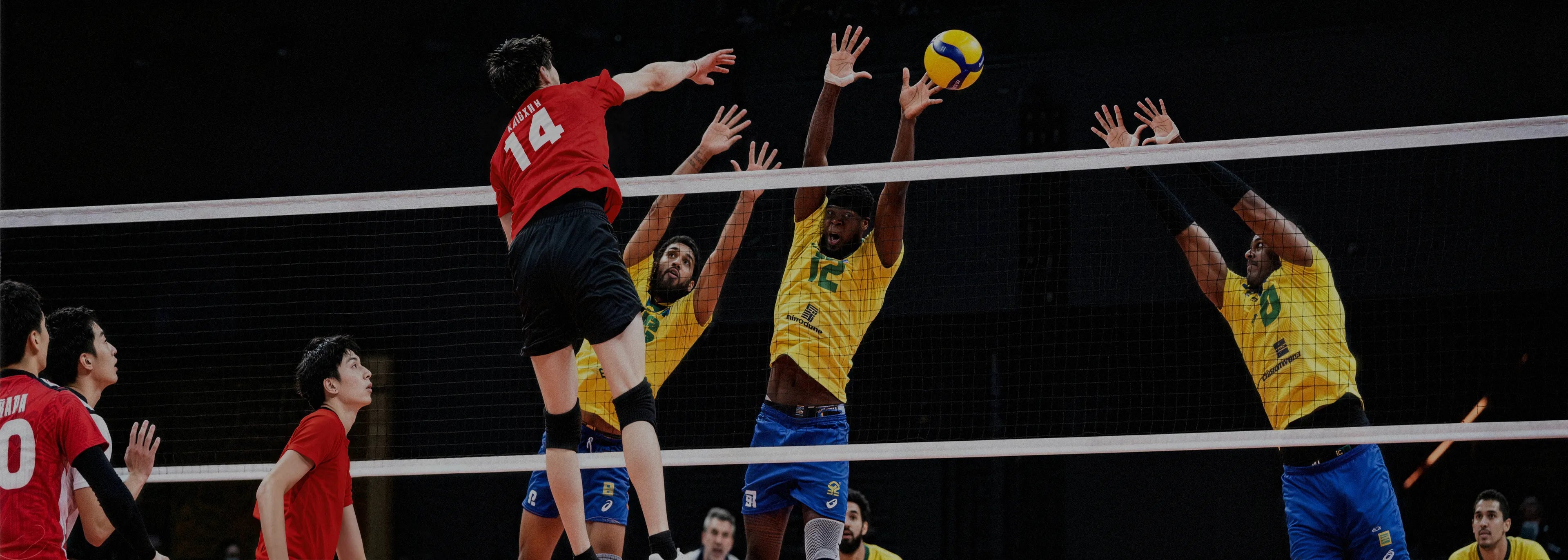 VOLLEYBALL SHOES – 361sport
